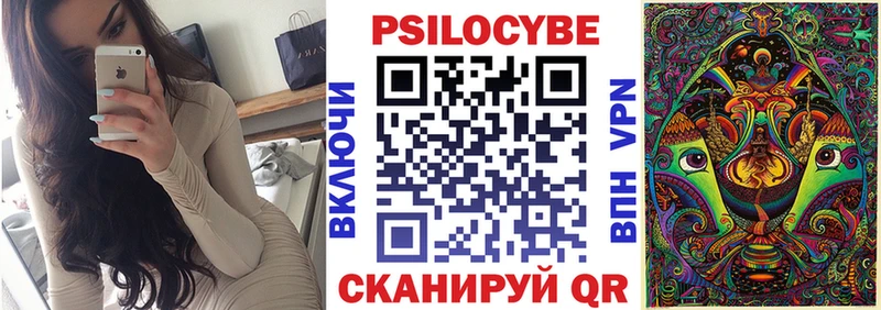 наркотики  Краснодар  Псилоцибиновые грибы Psilocybine cubensis 